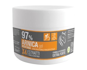 ARNICA 97% GEL 250ML ERB MAGENTI