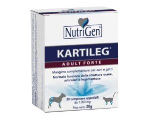 KARTILEG ADULT FORTE 30CPR