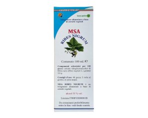 MSA RIBES NIGRUM 100ML