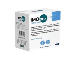 IMOPRO Cartilago 15 Bust.