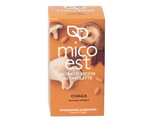 CHAGA ES 60 TAVOLETTE