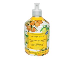 FRESCASCHIUMA AGRUMI DET MAN&C