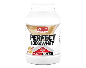 WHYSPORT PERFECT WHEY COOKIES