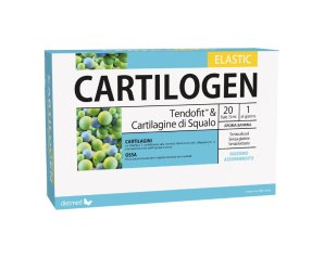 CARTILOGEN ELASTIC 20F 15ML