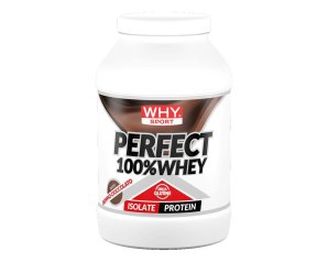 WHYSPORT PERFECT WHEY DP CIOC