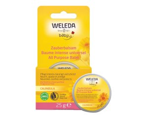 BALSAMO MULTIUSO 25G