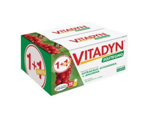VITADYN SOSTEGNO 10FL