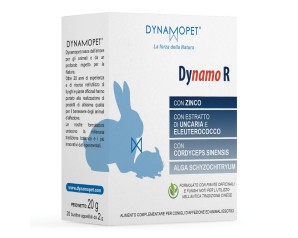 DYNAMO R 20BUST 2G