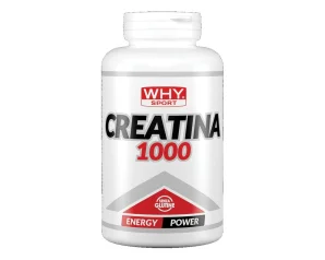 WHYSPORT CREATINA 1000 240CPR