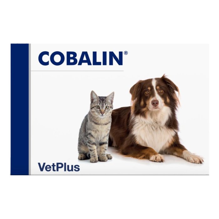 Cobalin Integratore di Vitamina B12 in 60 Capsule ad Alto Dosaggio and Supporto per Energia, Stanchezza e Sistema Nervoso Cobalin Integratore di Vitamina B12 in 60 Capsule ad Alto Dosaggio and Supporto per Energia, Stanchezza e Sistema Nervoso