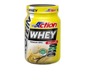 PROACTION WHEY RICH VAN 700G