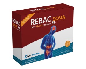 REBAC SOMA 14BUST