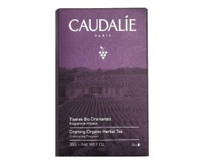 TISANE BIO DRENANTI 20BUST 23