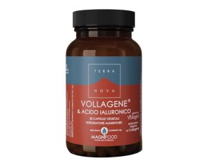 TERRANOVA VOLLAGENE&ACIDO50CPS