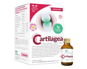 SALUGEA CARTILAGEA 18Fl.