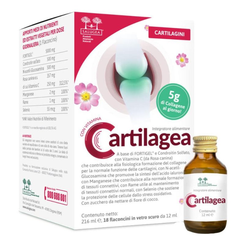 Cartilagea - Integratore per la Salute Articolare e il Benessere della Cartilagine 18 flaconcini Cartilagea - Integratore per la Salute Articolare e il Benessere della Cartilagine 18 flaconcini