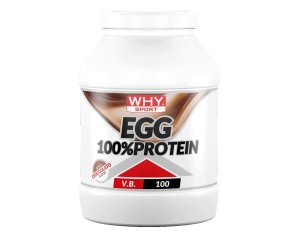 WHYSPORT EGG 100% PROTEIN CIOC