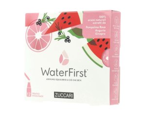 WATERFIRST POMPEL ANG GIN12STK