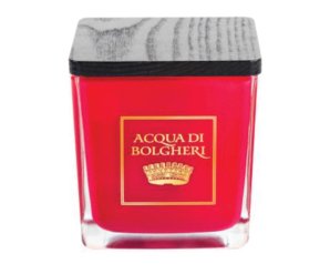 CANDELA PROFUMATA BACCHE VINUM