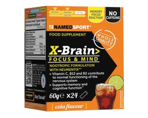 XBRAIN 24Stick