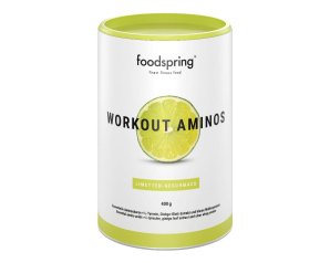 WORKOUT AMINOS LIME 400G