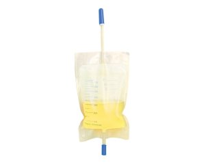 SACCA Ur.Gamba 35 750ml10pzF/C