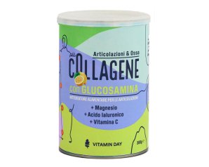VITAMIN DAY Collagene Articol.