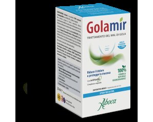 GOLAMIR SPRAY NO ALCOL 30ML