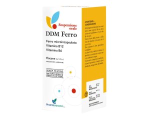 DDM Ferro Soluz.120ml