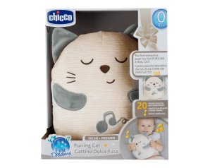 CH Gioco FD Purring Cat