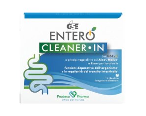 GSE Cleaner In 14*Buste 77g