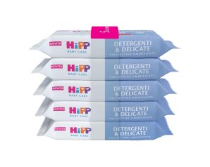 HIPP SALVIETTINE DET&DEL 5X48P