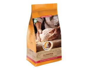 RICCIONE Farina Piadina 1KG