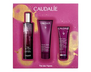 THE' DES VIGNES COF NATALE2024