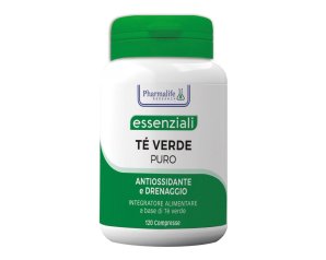 TE' VERDE PURO 120CPR