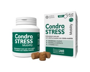 CONDROSTRESS Mobility 60Chews