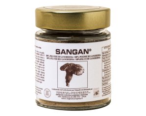 SANGAN POLVERE GANODERMA 45G