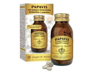 PAPAVIS 140 Past.500mg