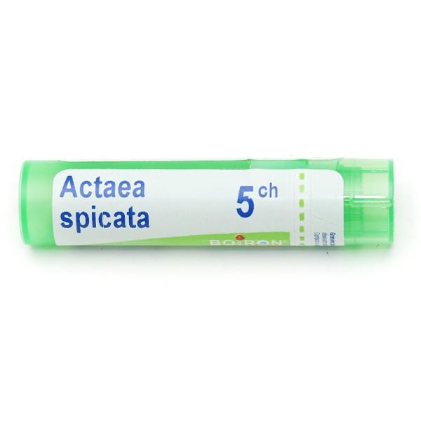 Cemon s.r.l. Prodotti Omeopatici per la Salute Actaea Spicata Tubo 5CH