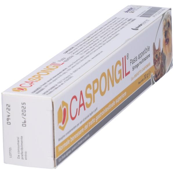 CASPONGIL Pasta 30g img 1