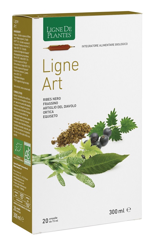 LIGNE ART 20ABX15ML