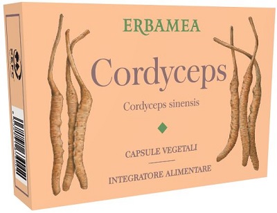 CORDYCEPS 24CPS VEGETALI ERBAMEA