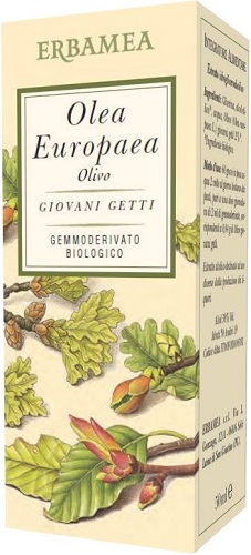 OLEA EUROPEA OLIVO 50ML