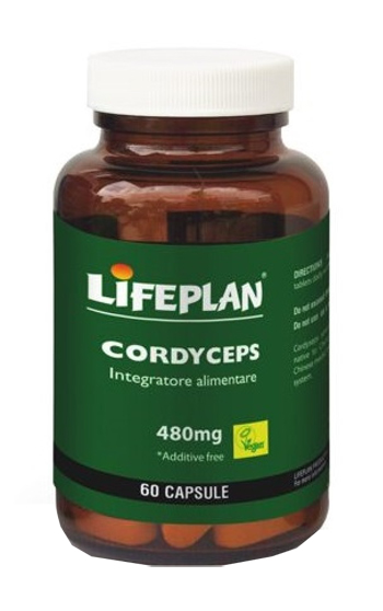 CORDYCEPS 60 Cps LFP