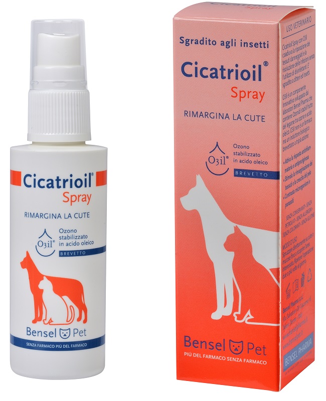 CICATRIOL Spray 50ml img 2