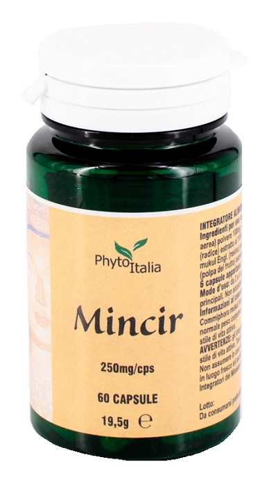 MINCEUR AYURVED 60CPS