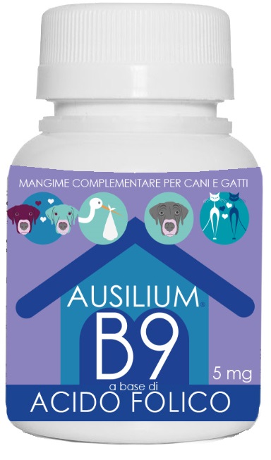 AUSILIUM B9 ACIDO FOLIC 100G VET img