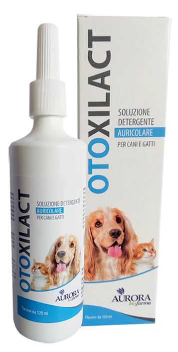 Otoxilact Detergente Auricolare img