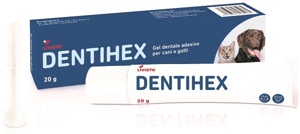 DENTIHEX Gel Dent.CaniGatti20g img