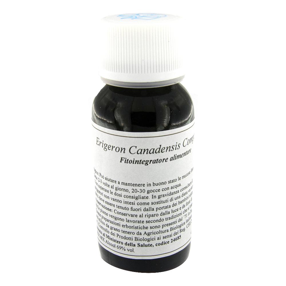 85C ERIGERON CANADENSIS COMP